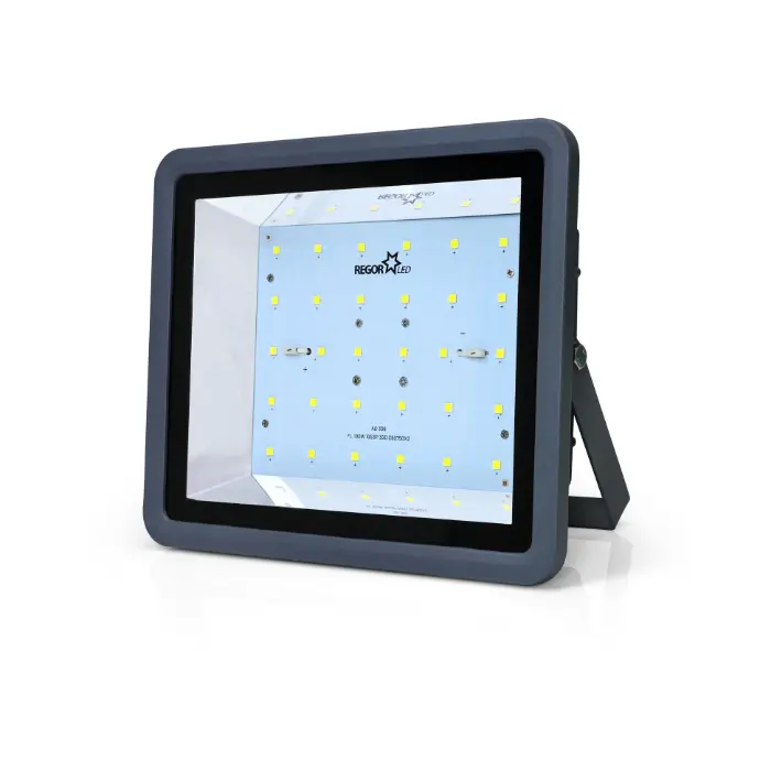 Flood Light